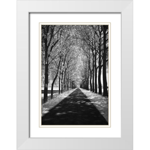 Follow Me White Modern Wood Framed Art Print with Double Matting by Szilagyi, Ily
