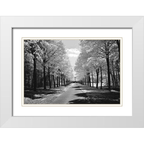 Sublime White Modern Wood Framed Art Print with Double Matting by Szilagyi, Ily