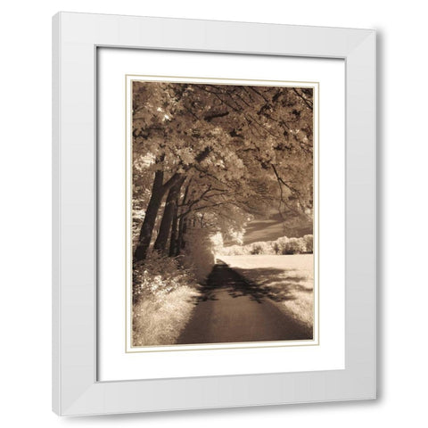 The Path Ahead White Modern Wood Framed Art Print with Double Matting by Szilagyi, Ily