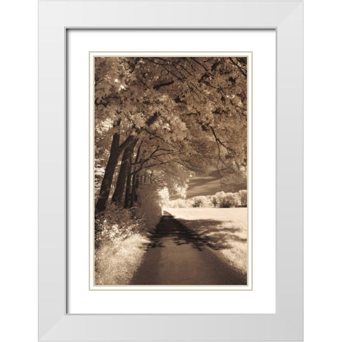 The Path Ahead White Modern Wood Framed Art Print with Double Matting by Szilagyi, Ily