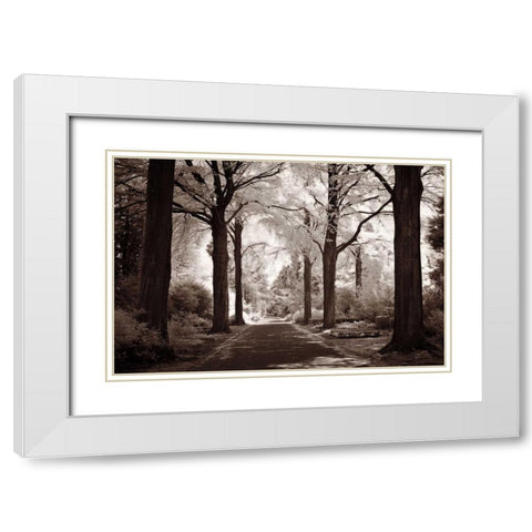 Arcadia White Modern Wood Framed Art Print with Double Matting by Szilagyi, Ily