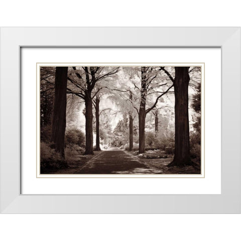 Arcadia White Modern Wood Framed Art Print with Double Matting by Szilagyi, Ily