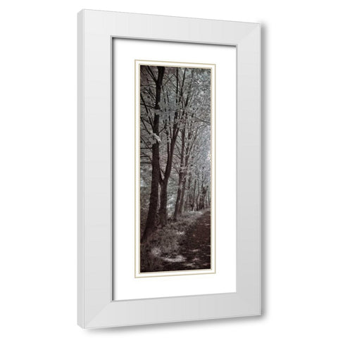 A Walk To Remember I White Modern Wood Framed Art Print with Double Matting by Szilagyi, Ily
