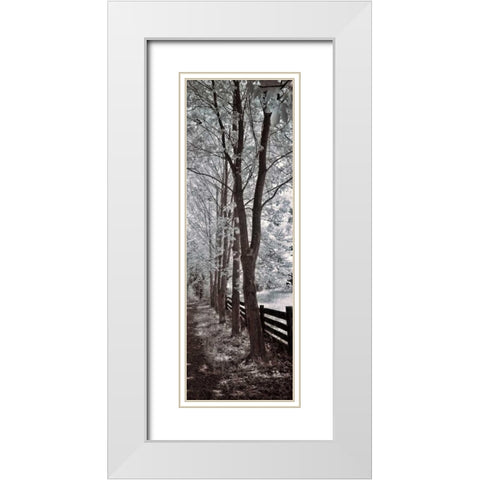 A Walk To Remember II White Modern Wood Framed Art Print with Double Matting by Szilagyi, Ily