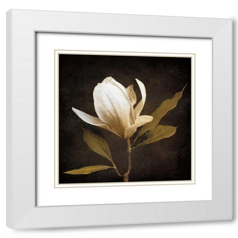 Grandeur White Modern Wood Framed Art Print with Double Matting by Szilagyi, Ily