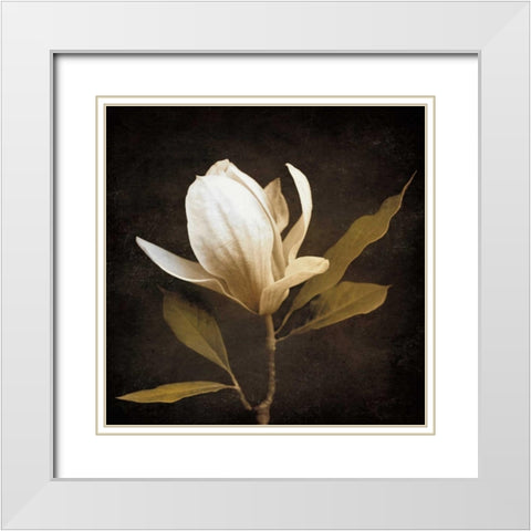 Grandeur White Modern Wood Framed Art Print with Double Matting by Szilagyi, Ily