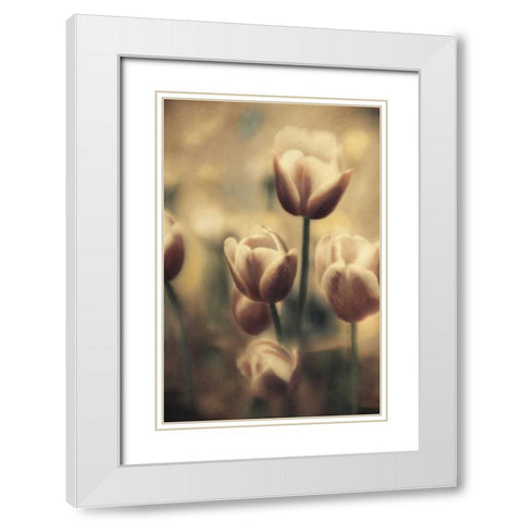 Tinted Tulips III White Modern Wood Framed Art Print with Double Matting by Schrack, Thea