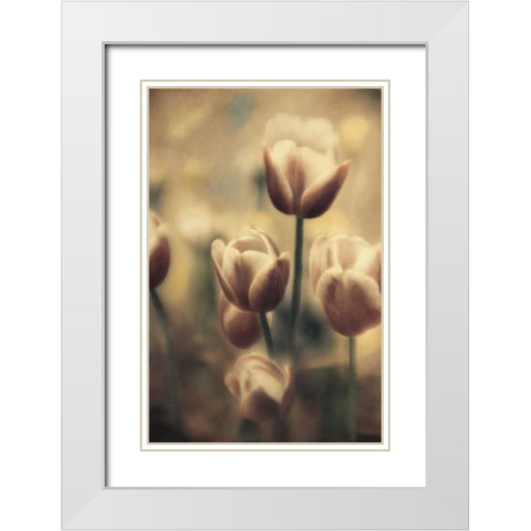 Tinted Tulips III White Modern Wood Framed Art Print with Double Matting by Schrack, Thea