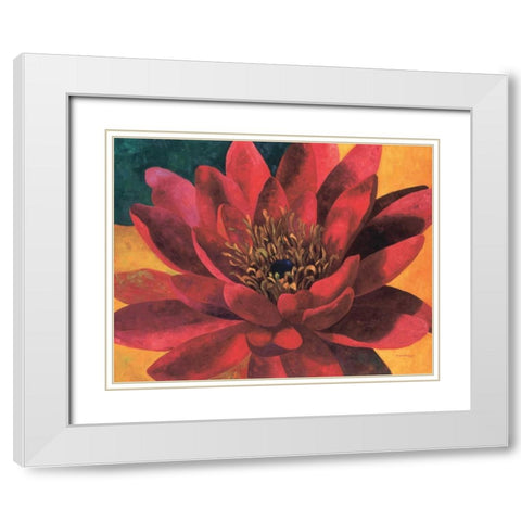 Red Water Lily White Modern Wood Framed Art Print with Double Matting by Torrontegui, Maria