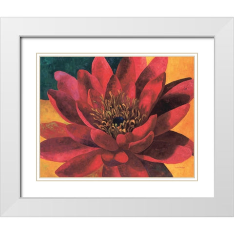 Red Water Lily White Modern Wood Framed Art Print with Double Matting by Torrontegui, Maria