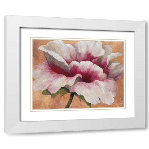 Pink Begonia White Modern Wood Framed Art Print with Double Matting by Torrontegui, Maria