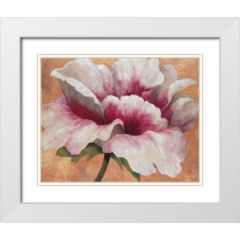Pink Begonia White Modern Wood Framed Art Print with Double Matting by Torrontegui, Maria