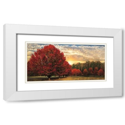 Crimson Trees White Modern Wood Framed Art Print with Double Matting by Celebrate Life Gallery