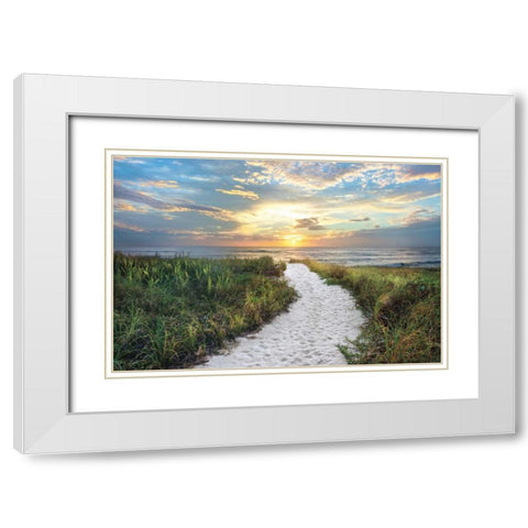Morning Trail White Modern Wood Framed Art Print with Double Matting by Celebrate Life Gallery