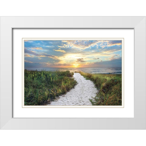 Morning Trail White Modern Wood Framed Art Print with Double Matting by Celebrate Life Gallery