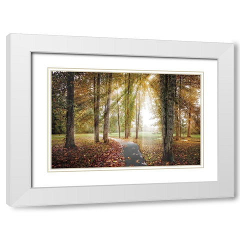 Following the Light White Modern Wood Framed Art Print with Double Matting by Celebrate Life Gallery