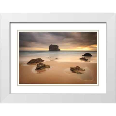 Ballota  White Modern Wood Framed Art Print with Double Matting by Vera, Urtzi