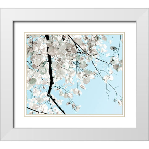 Linden Tree Branches White Modern Wood Framed Art Print with Double Matting by Duealberi, Antonia and Fabio