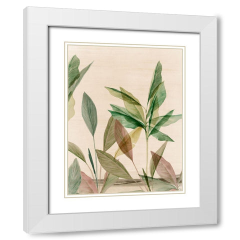 Colourful Tropics II  White Modern Wood Framed Art Print with Double Matting by Aria K