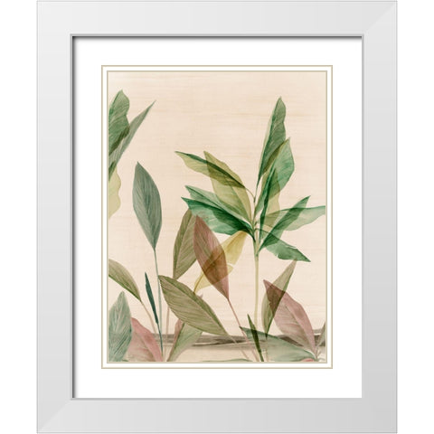 Colourful Tropics II  White Modern Wood Framed Art Print with Double Matting by Aria K
