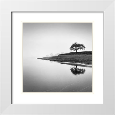 Tree in the Lake White Modern Wood Framed Art Print with Double Matting by Manuel, Alexandre