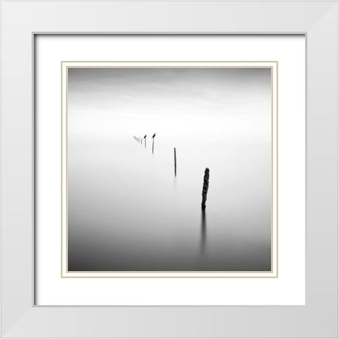 Sticks and Birds I White Modern Wood Framed Art Print with Double Matting by Praxis Studio