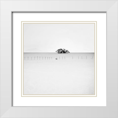Floating Tree White Modern Wood Framed Art Print with Double Matting by Praxis Studio