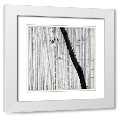Bamboo Forest White Modern Wood Framed Art Print with Double Matting by Manuel, Alexandre