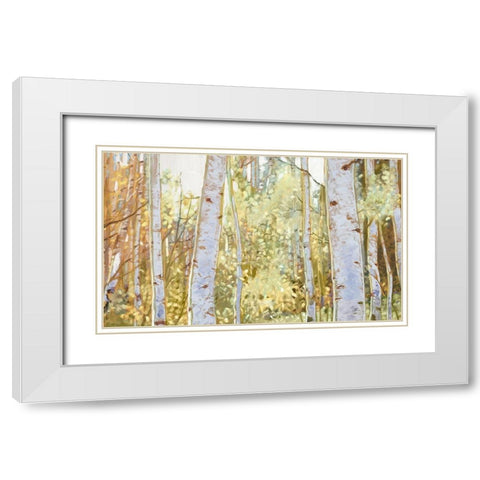 Summer Birch I  White Modern Wood Framed Art Print with Double Matting by Del Rizzo, Anthony