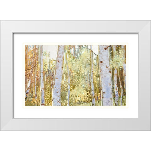 Summer Birch I  White Modern Wood Framed Art Print with Double Matting by Del Rizzo, Anthony