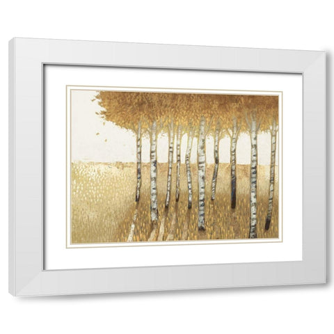 Sunset Walk  White Modern Wood Framed Art Print with Double Matting by Del Rizzo, Anthony