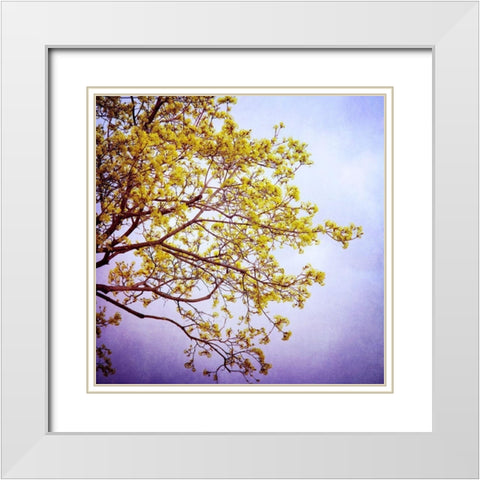 Zen White Modern Wood Framed Art Print with Double Matting by Arduini, Sandra