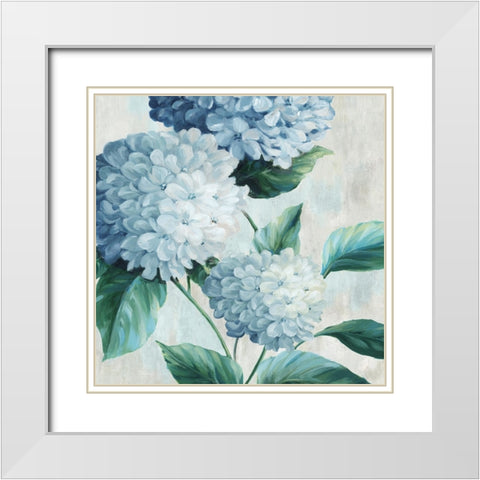 Blue Hydrangea Blooms I White Modern Wood Framed Art Print with Double Matting by Black, Alex