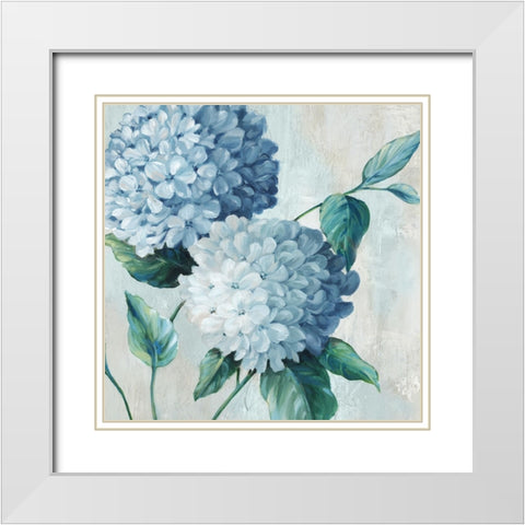 Blue Hydrangea Blooms II White Modern Wood Framed Art Print with Double Matting by Black, Alex