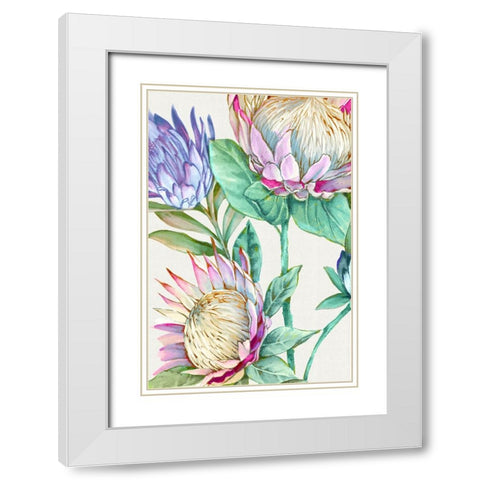 Wild King Protea White Modern Wood Framed Art Print with Double Matting by Black, Alex