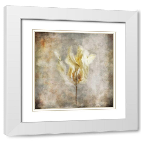 Sepia Bloom I White Modern Wood Framed Art Print with Double Matting by Bingham, John