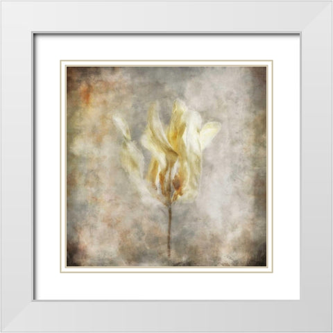 Sepia Bloom I White Modern Wood Framed Art Print with Double Matting by Bingham, John
