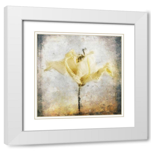 Sepia Bloom II White Modern Wood Framed Art Print with Double Matting by Bingham, John