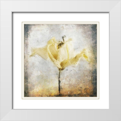 Sepia Bloom II White Modern Wood Framed Art Print with Double Matting by Bingham, John