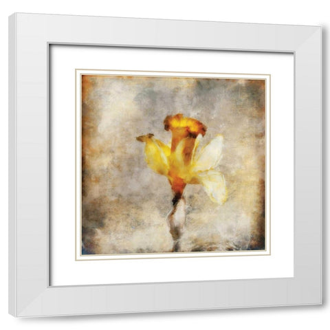 Sepia Bloom III White Modern Wood Framed Art Print with Double Matting by Bingham, John