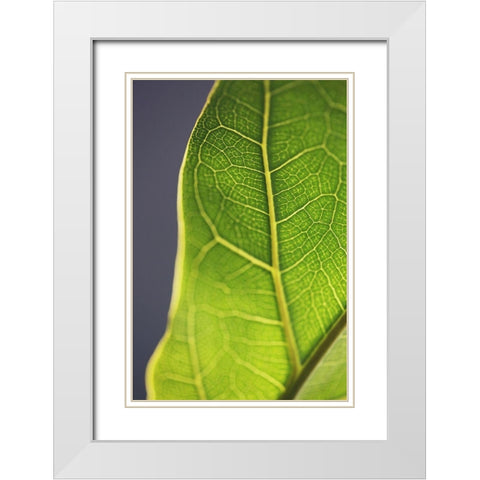 Bright Inside III White Modern Wood Framed Art Print with Double Matting by Bock, Alicia