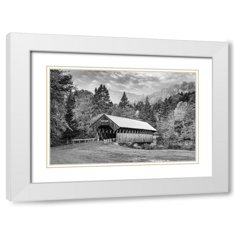 Bennett Bridge White Modern Wood Framed Art Print with Double Matting by Berk