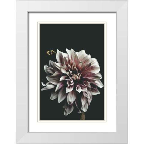 Dazed White Modern Wood Framed Art Print with Double Matting by Kiss, Beatrice
