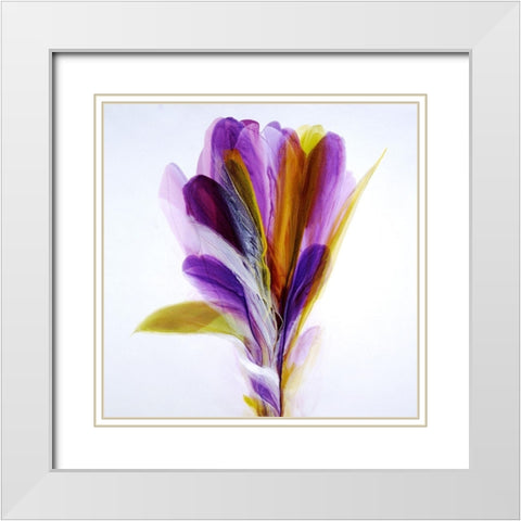 Memories White Modern Wood Framed Art Print with Double Matting by Ridgeway, Bette
