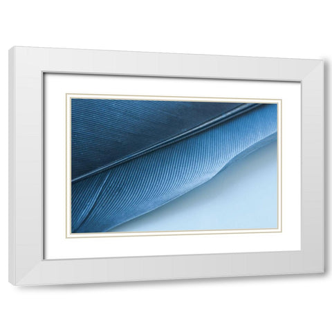 Blue Feather I White Modern Wood Framed Art Print with Double Matting by Beavers, Jennifer