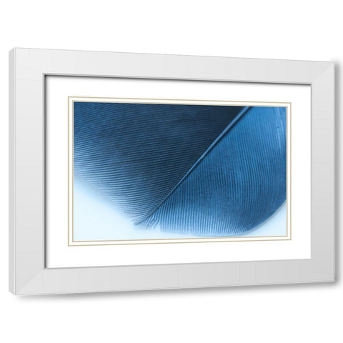 Blue Feather II White Modern Wood Framed Art Print with Double Matting by Beavers, Jennifer