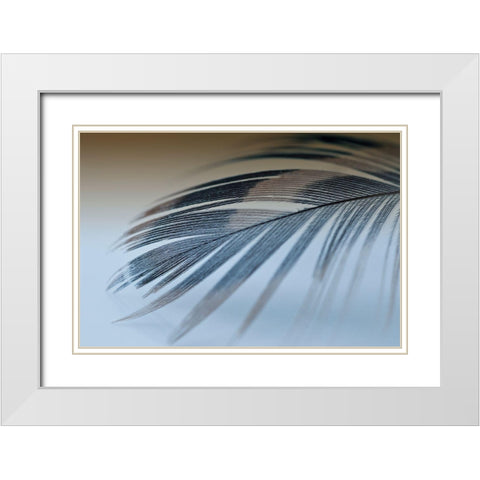 Sweet Dreams White Modern Wood Framed Art Print with Double Matting by Beavers, Jennifer