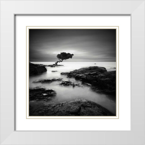 Tree of Temptation White Modern Wood Framed Art Print with Double Matting by Cherry, Rob