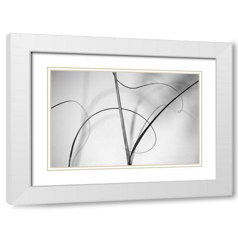 Elegant Vines I  White Modern Wood Framed Art Print with Double Matting by Connolly, Karin