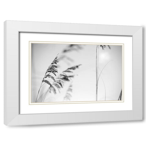 Elegant Vines II  White Modern Wood Framed Art Print with Double Matting by Connolly, Karin